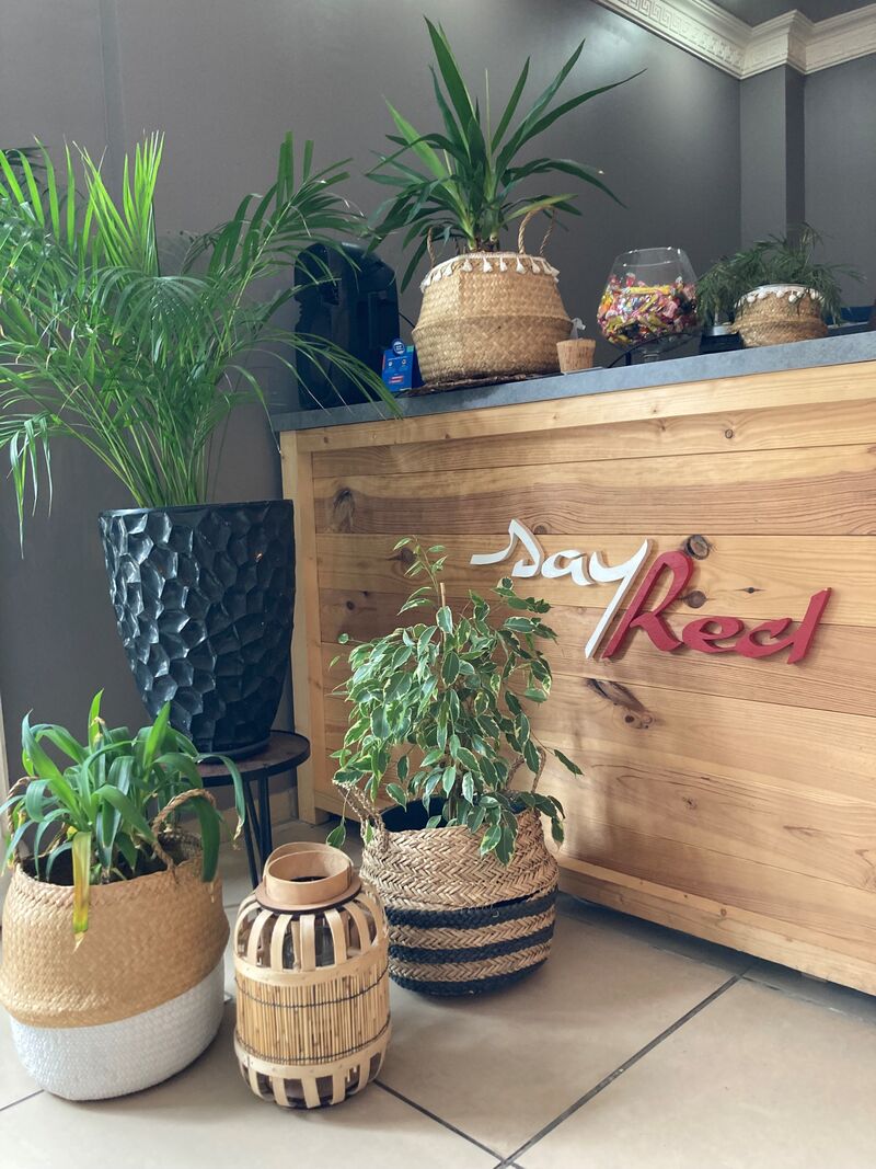 Bar de Sayred en bois clair avec logo, plantes vertes et bonbons en vitrine